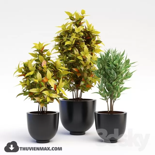 3DSKYFREE – PLANT 3DS MAX MODELS