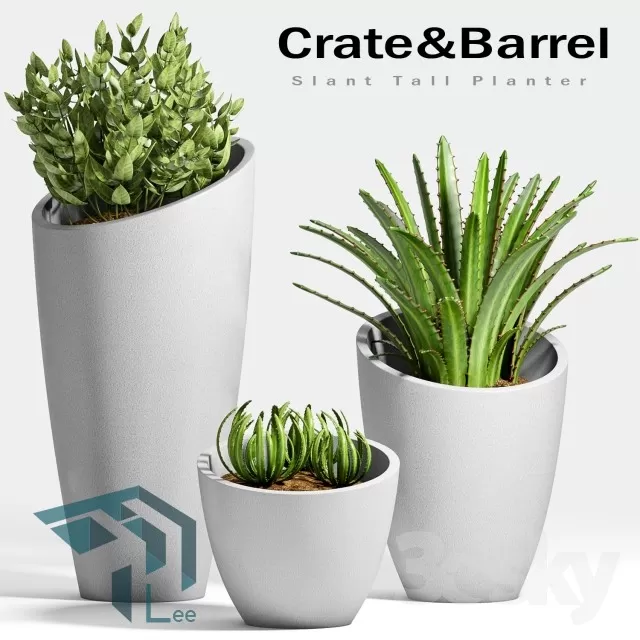 3DSKYFREE – PLANT 3DS MAX MODELS