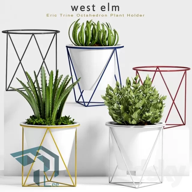 3DSKYFREE – PLANT 3DS MAX MODELS