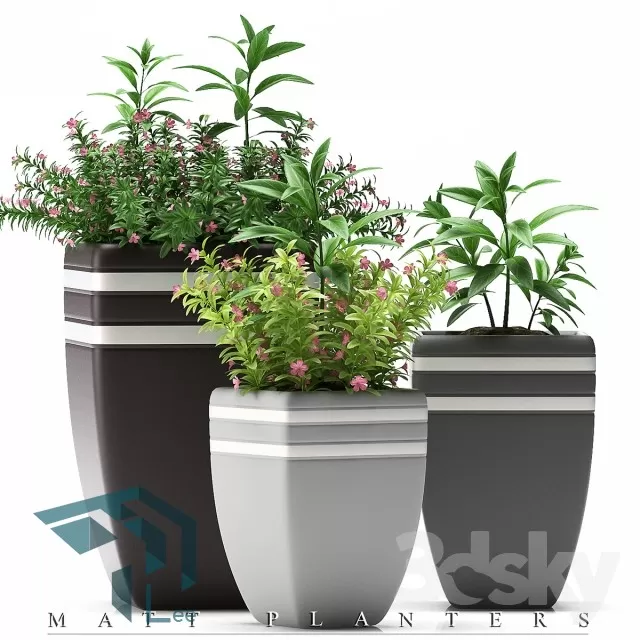3DSKYFREE – PLANT 3DS MAX MODELS