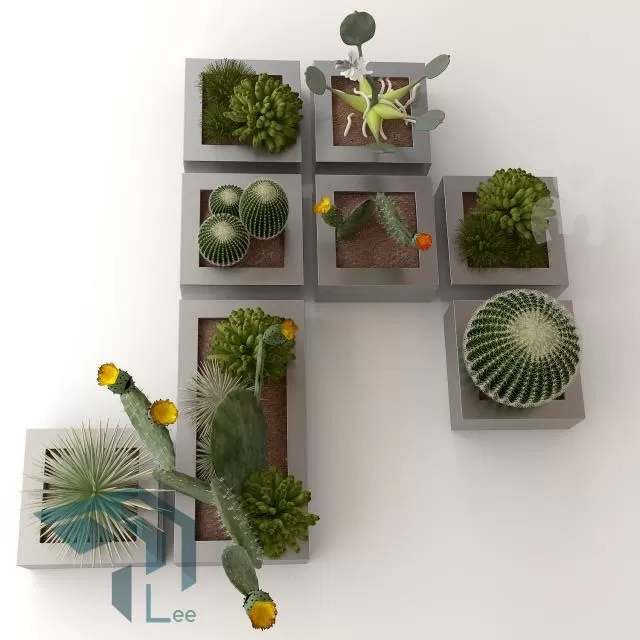 PLANT 3D MODELS