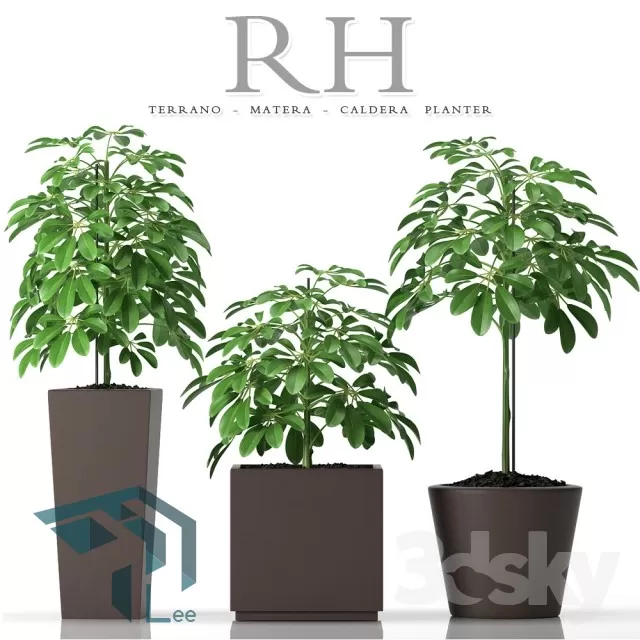 3DSKYFREE – PLANT 3DS MAX MODELS