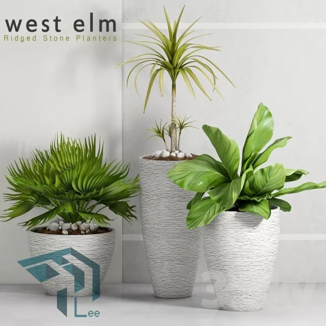 3DSKYFREE – PLANT 3DS MAX MODELS