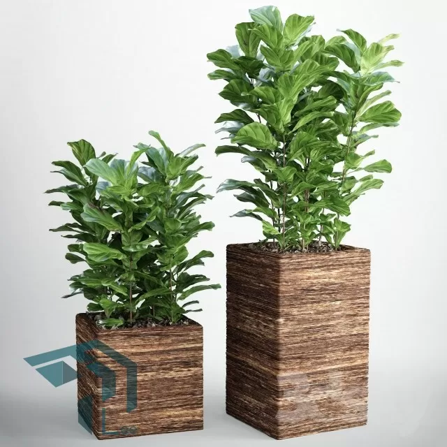 3DSKYFREE – PLANT 3DS MAX MODELS
