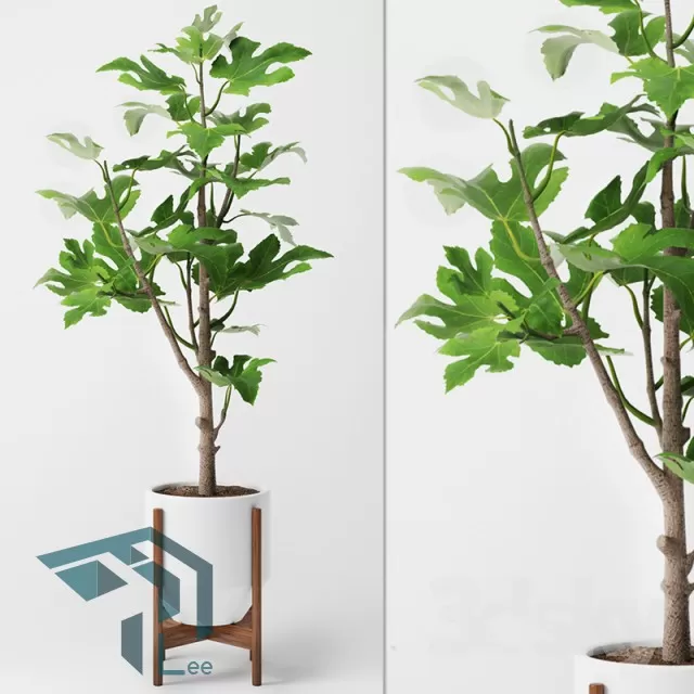 3DSKYFREE – PLANT 3DS MAX MODELS