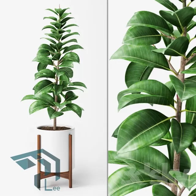 3DSKYFREE – PLANT 3DS MAX MODELS