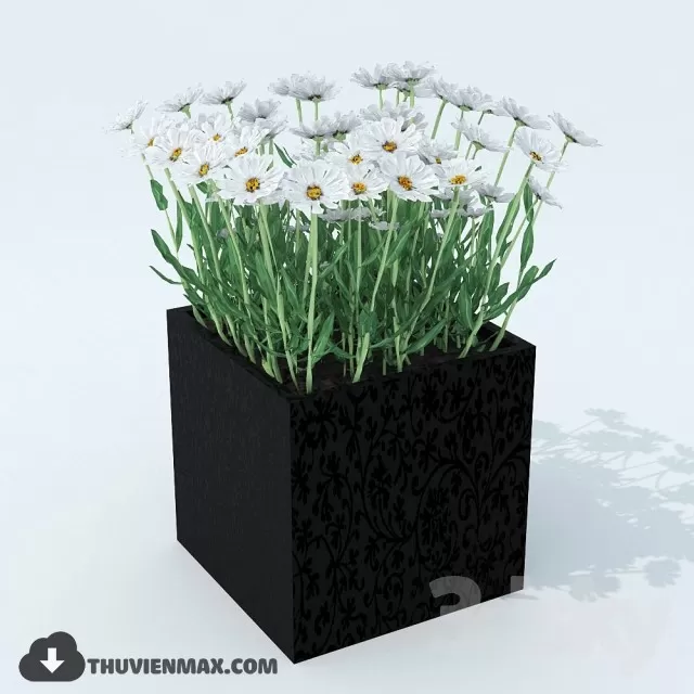 PLANT 3D MODELS
