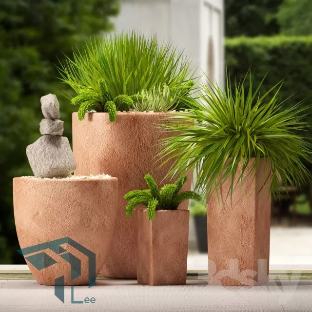 3DSKYFREE – PLANT 3DS MAX MODELS