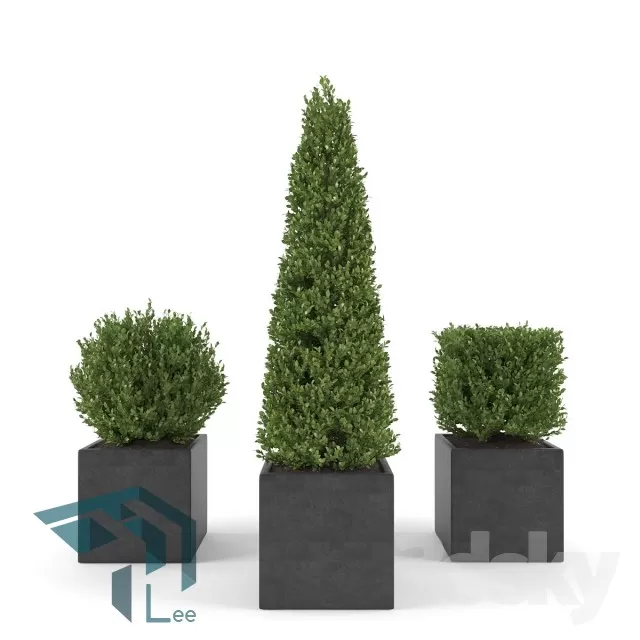 3DSKYFREE – PLANT 3DS MAX MODELS