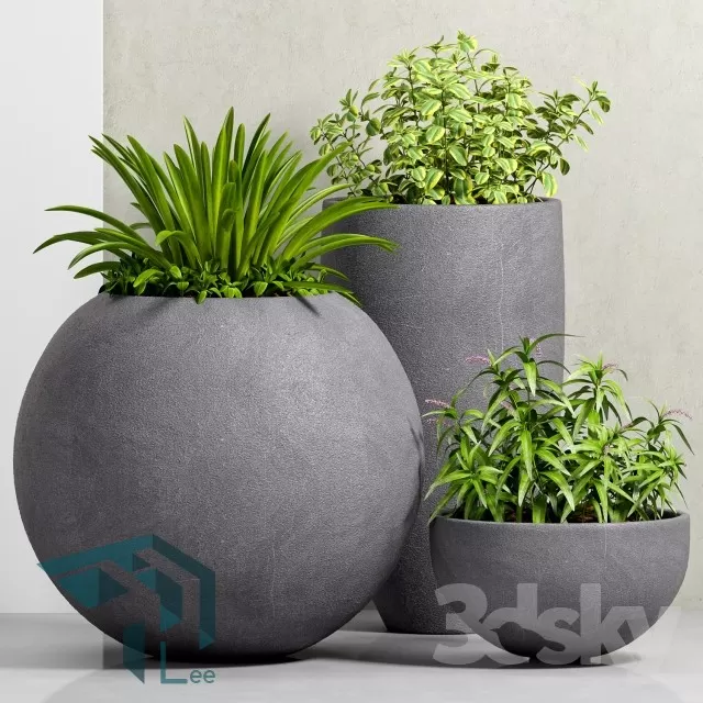 3DSKYFREE – PLANT 3DS MAX MODELS
