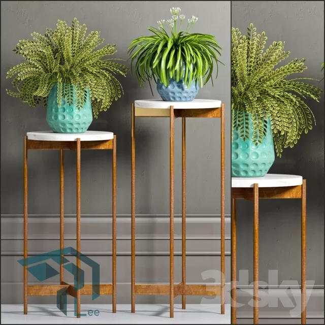 3DSKYFREE – PLANT 3DS MAX MODELS