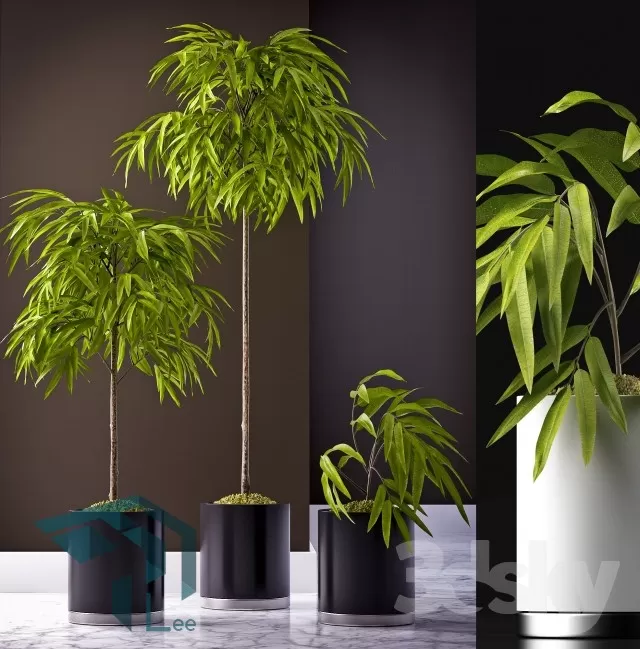 3DSKYFREE – PLANT 3DS MAX MODELS