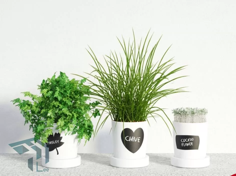 3DSKYFREE – PLANT 3DS MAX MODELS