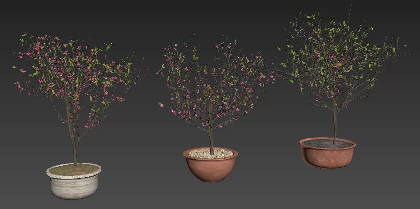 3DSKYFREE – PLANT 3DS MAX MODELS