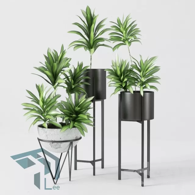 3DSKYFREE – PLANT 3DS MAX MODELS