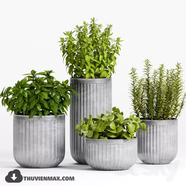 3DSKYFREE – PLANT 3DS MAX MODELS