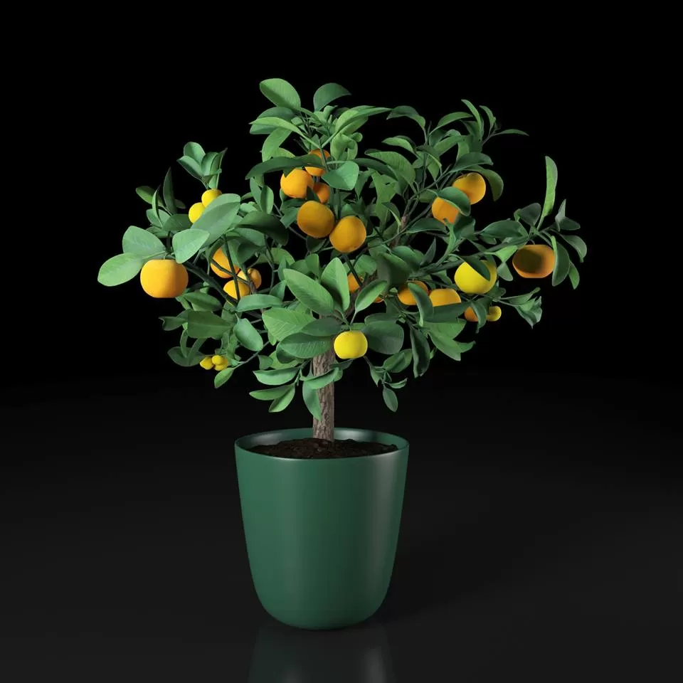 3DSKYFREE – PLANT 3DS MAX MODELS