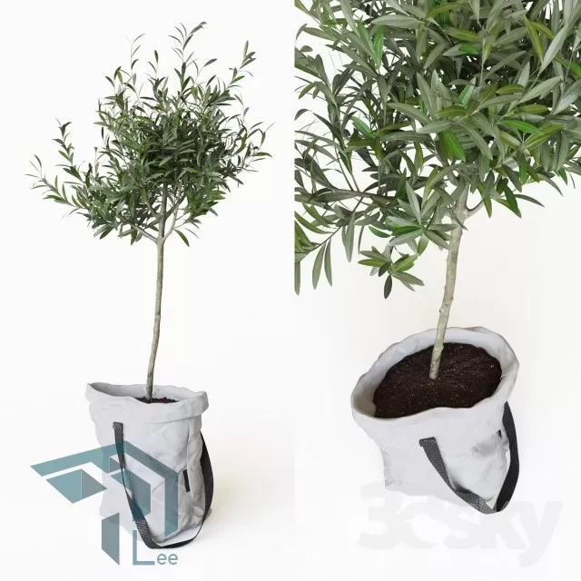 3DSKYFREE – PLANT 3DS MAX MODELS