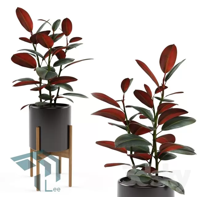 3DSKYFREE – PLANT 3DS MAX MODELS