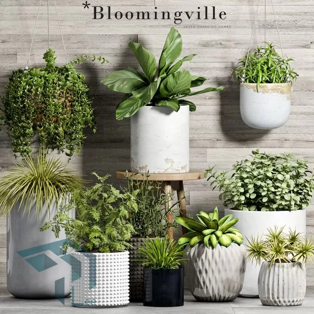 3DSKYFREE – PLANT 3DS MAX MODELS