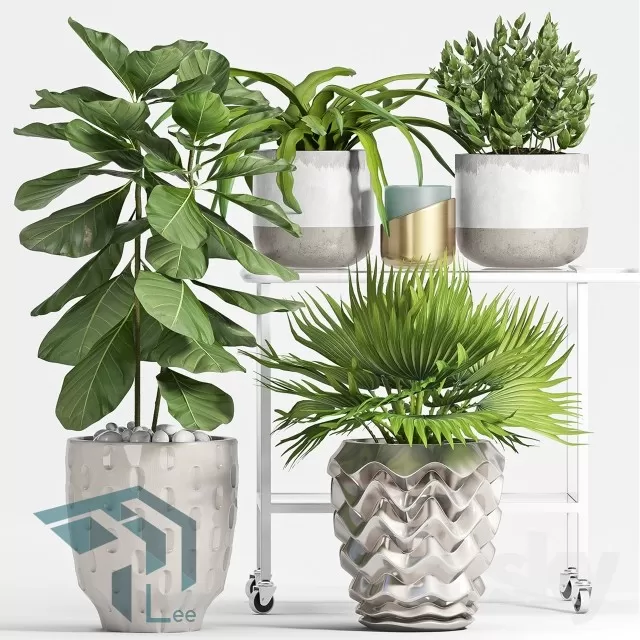 3DSKYFREE – PLANT 3DS MAX MODELS