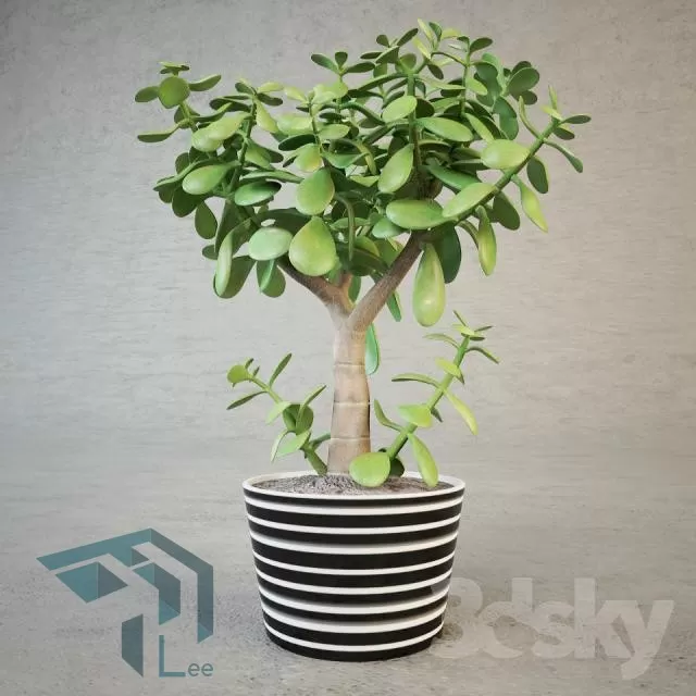 3DSKYFREE – PLANT 3DS MAX MODELS