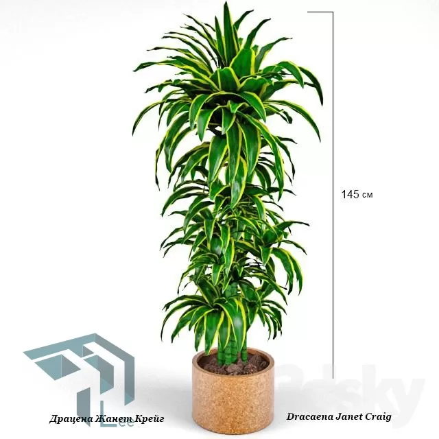 3DSKYFREE – PLANT 3DS MAX MODELS