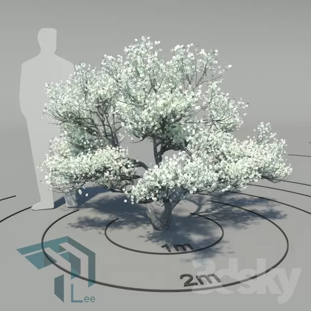 3DSKYFREE – PLANT 3DS MAX MODELS