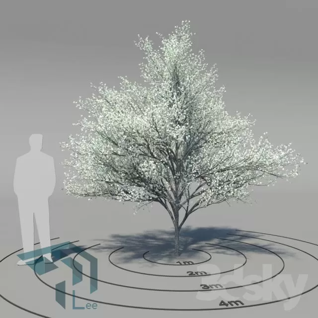 3DSKYFREE – PLANT 3DS MAX MODELS