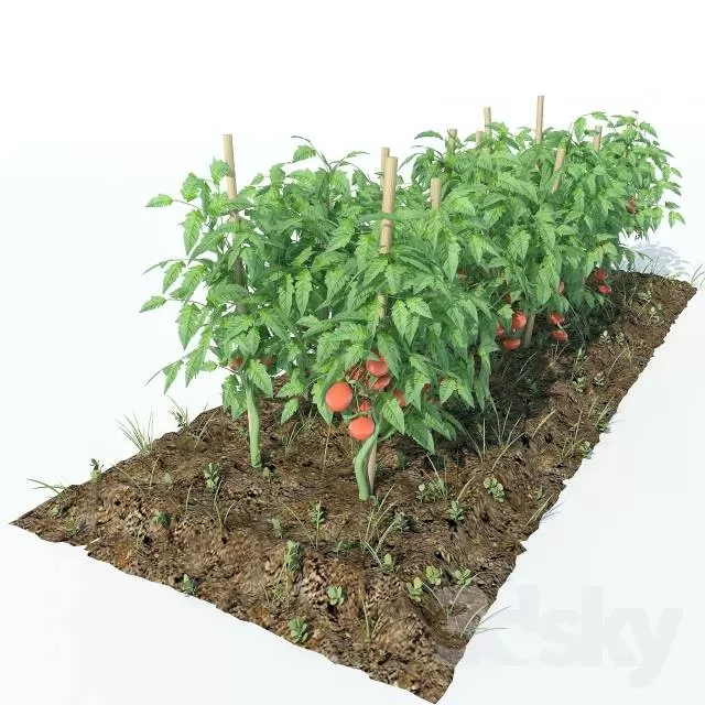 3DSKYFREE – PLANT 3DS MAX MODELS