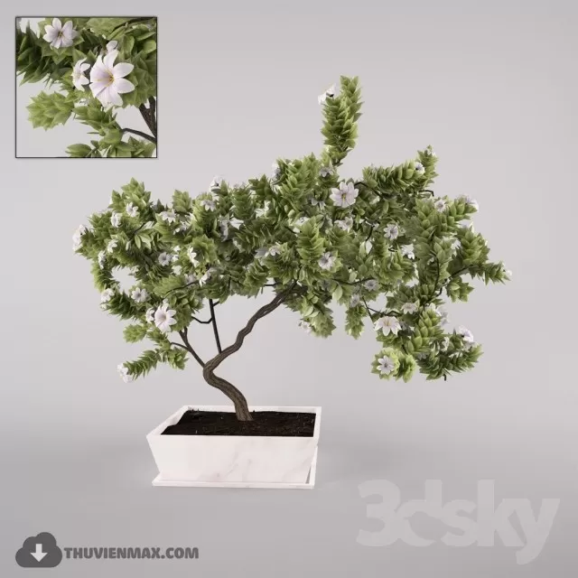 3DSKYFREE – PLANT 3DS MAX MODELS