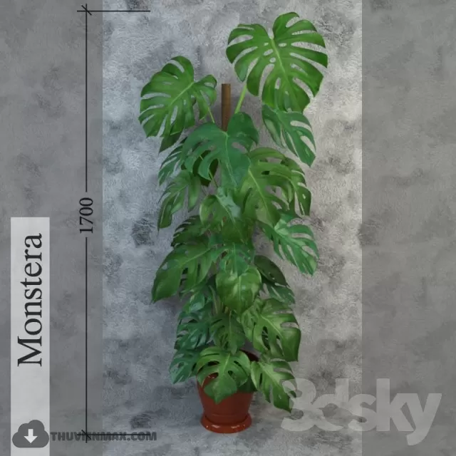 3DSKYFREE – PLANT 3DS MAX MODELS
