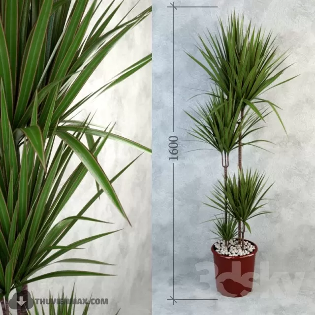 3DSKYFREE – PLANT 3DS MAX MODELS