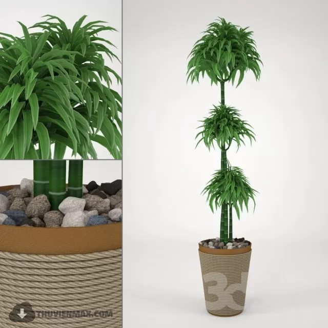 3DSKYFREE – PLANT 3DS MAX MODELS