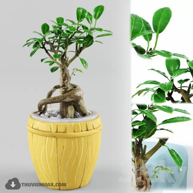 3DSKYFREE – PLANT 3DS MAX MODELS