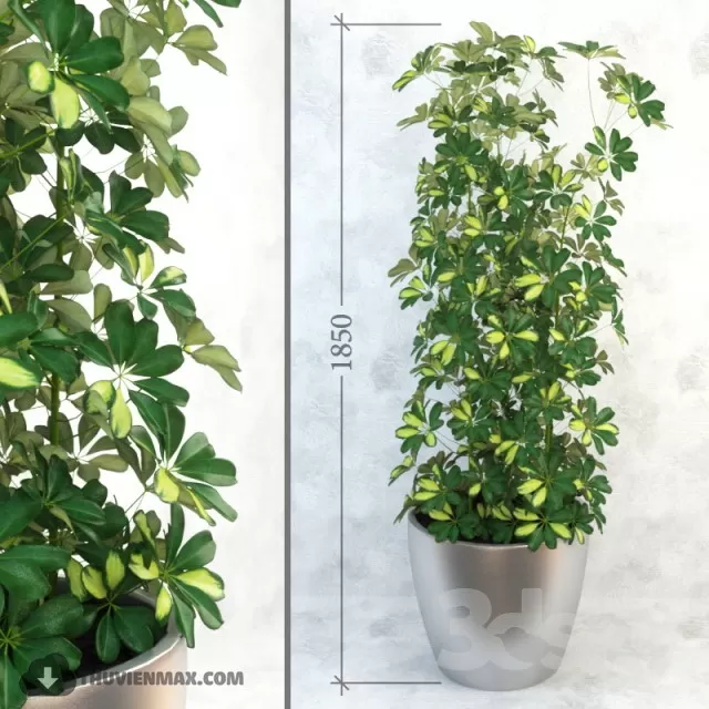 3DSKYFREE – PLANT 3DS MAX MODELS