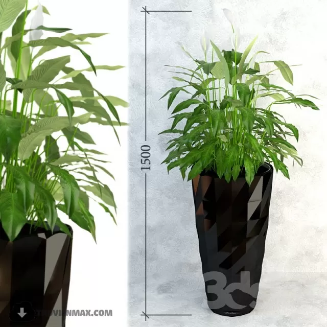 3DSKYFREE – PLANT 3DS MAX MODELS