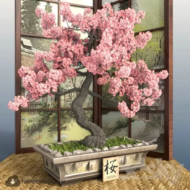 3DSKYFREE – PLANT 3DS MAX MODELS