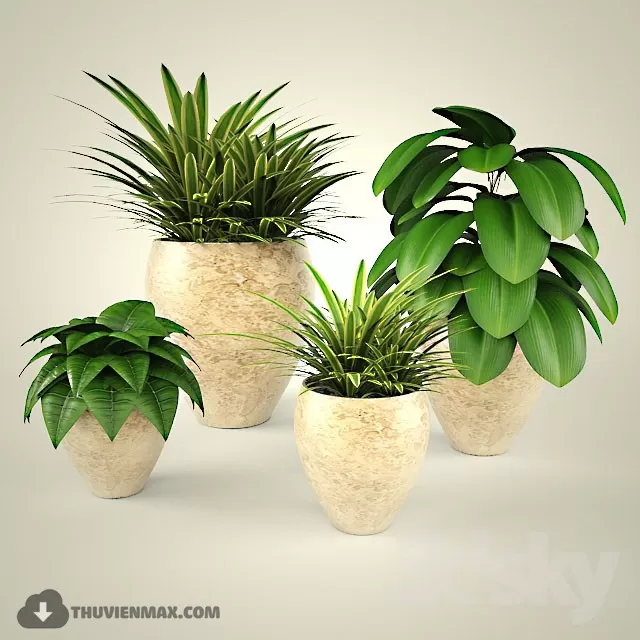 PLANT 3D MODELS