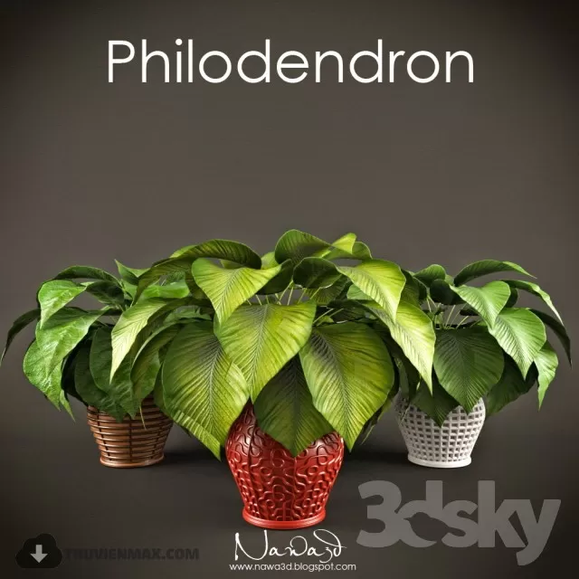 3DSKYFREE – PLANT 3DS MAX MODELS