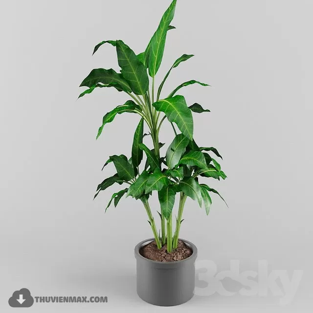 3DSKYFREE – PLANT 3DS MAX MODELS