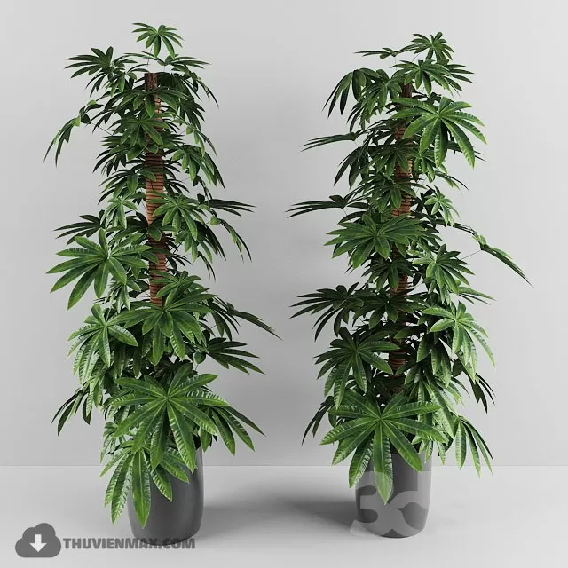 3DSKYFREE – PLANT 3DS MAX MODELS