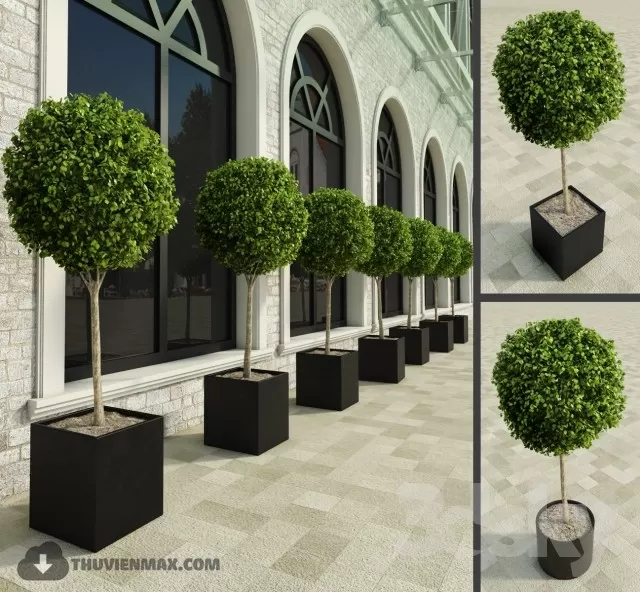 3DSKYFREE – PLANT 3DS MAX MODELS