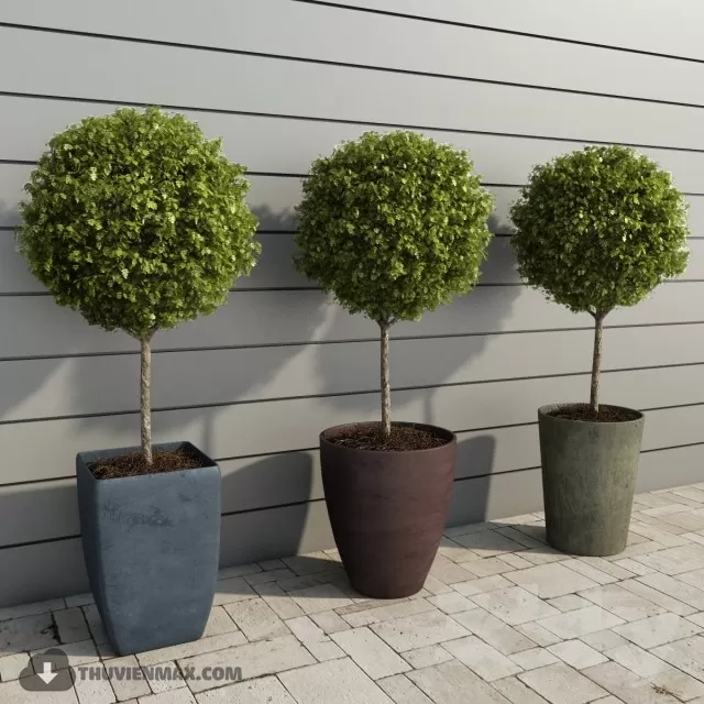 3DSKYFREE – PLANT 3DS MAX MODELS