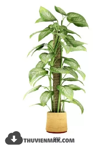 3DSKYFREE – PLANT 3DS MAX MODELS