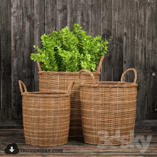 3DSKYFREE – PLANT 3DS MAX MODELS