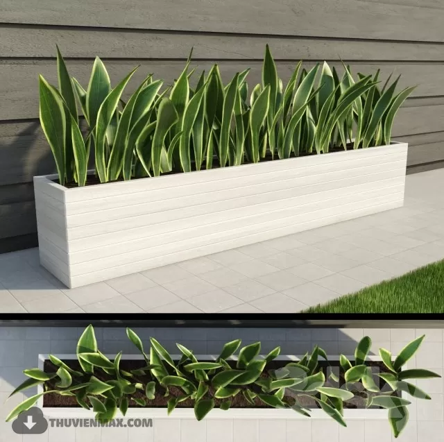 3DSKYFREE – PLANT 3DS MAX MODELS