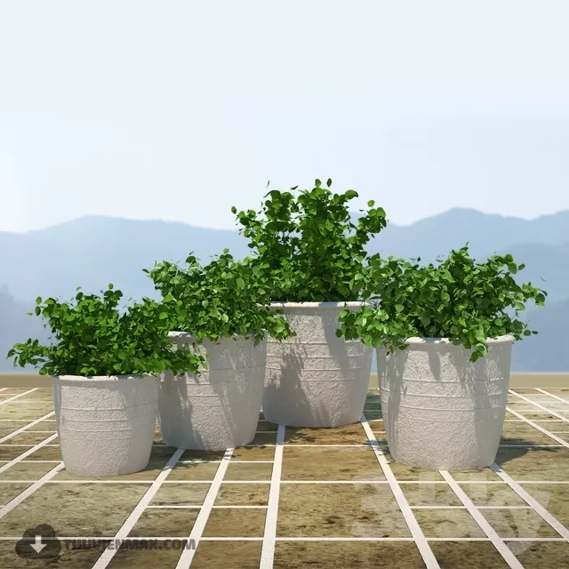 3DSKYFREE – PLANT 3DS MAX MODELS