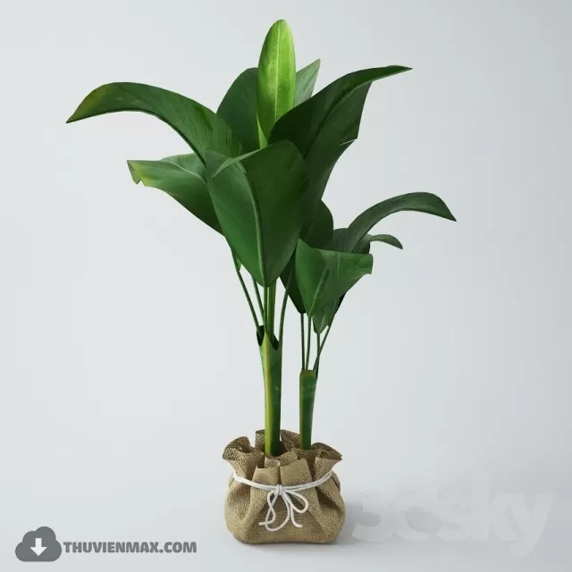 3DSKYFREE – PLANT 3DS MAX MODELS