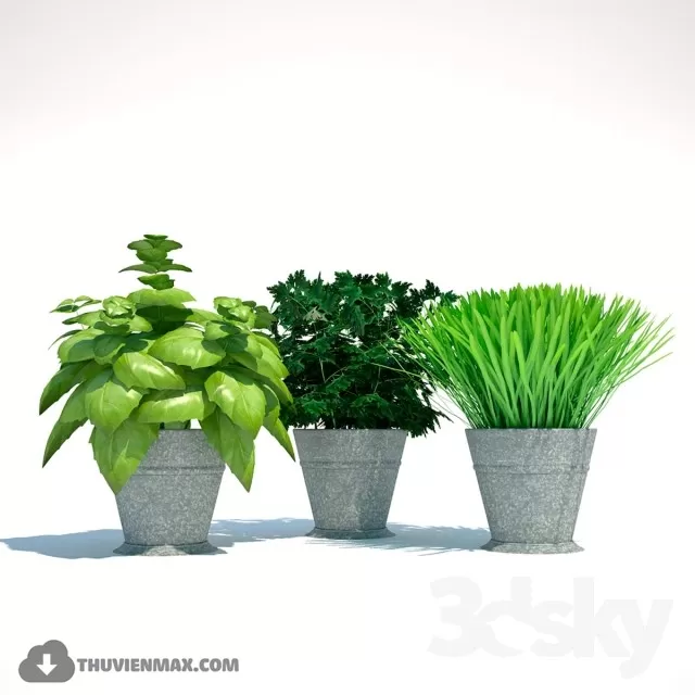 3DSKYFREE – PLANT 3DS MAX MODELS